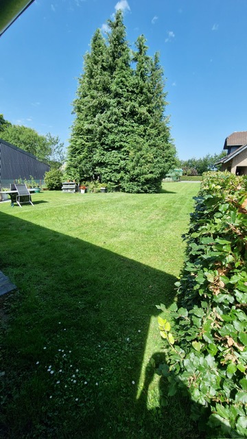 Garten (4) Zweifamilienhaus Schleiden / Dreiborn