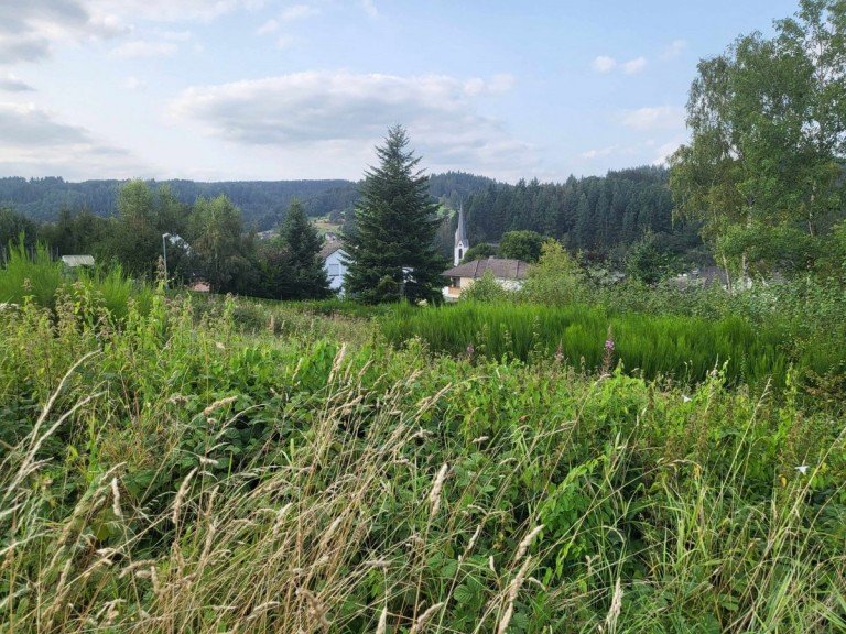 Kuhlheck Aussicht1 Hellenthal - Kuhlheck Wohngrundst�ck Bauland in idyllischer gr�ner Gegend-Wohnen wo andere Urlaub machen!