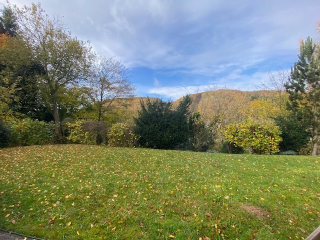 Garten Aussicht Erdgeschosswohnung Schleiden