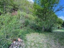 IMG_8427 Fluthaus - Holz-Einfamilienhaus mit Doppelgarage im Dornr�schenschlaf
Solide Basis f�r Macher und Handwerker