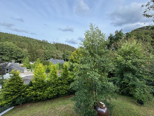 Ausblick von Veranda Einfamilienhaus Roetgen