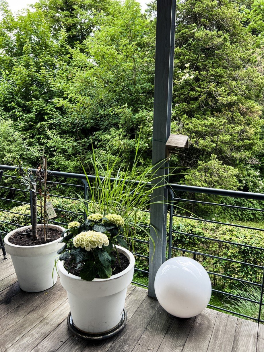Balkon Etagenwohnung Aachen / Laurensberg