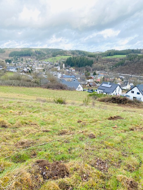 FRONT Aussicht (2) Wohngrundst�ck Hellenthal